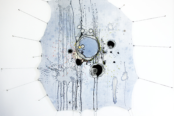 Cover Artist Nava Lubelski 