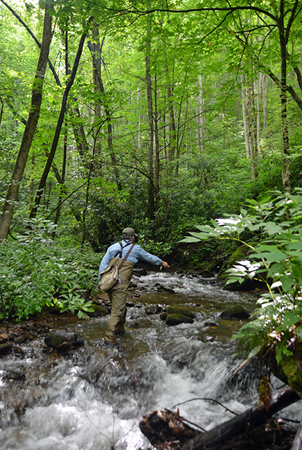 Moses Creek in Jackson County (Photos by Mary Anne Baker)
