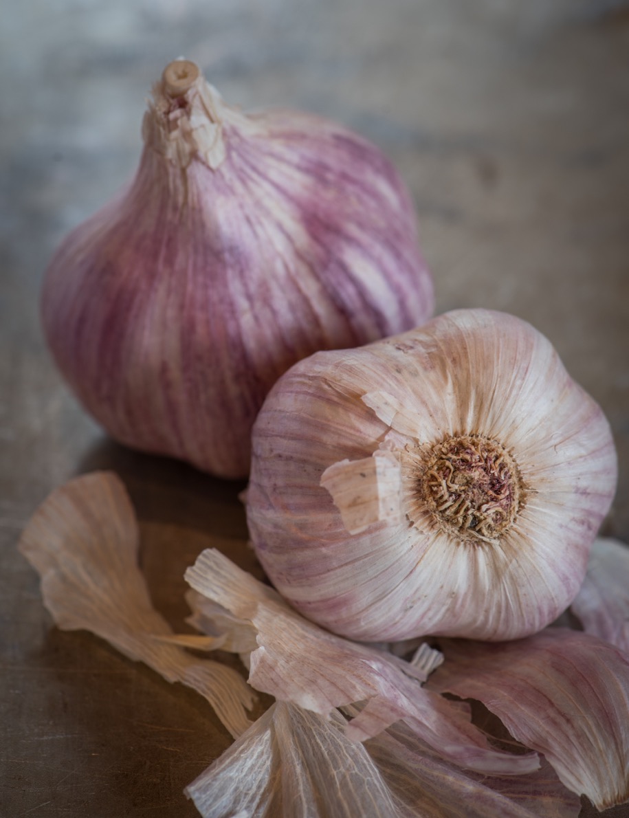 WNC Garlic Fest