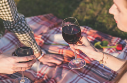 The Beauty of Pinot Noir