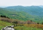 Conservation: Roan Mtn