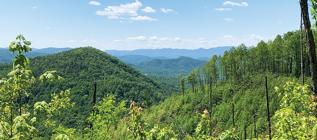 Wilderness Gateway Trail