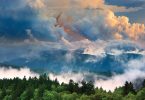 Art Mob: Susan Stanton