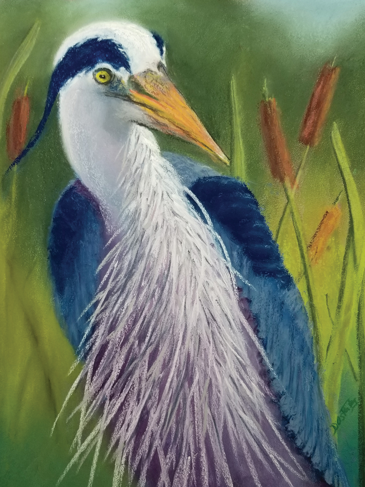 Art Mob: Bird Matters