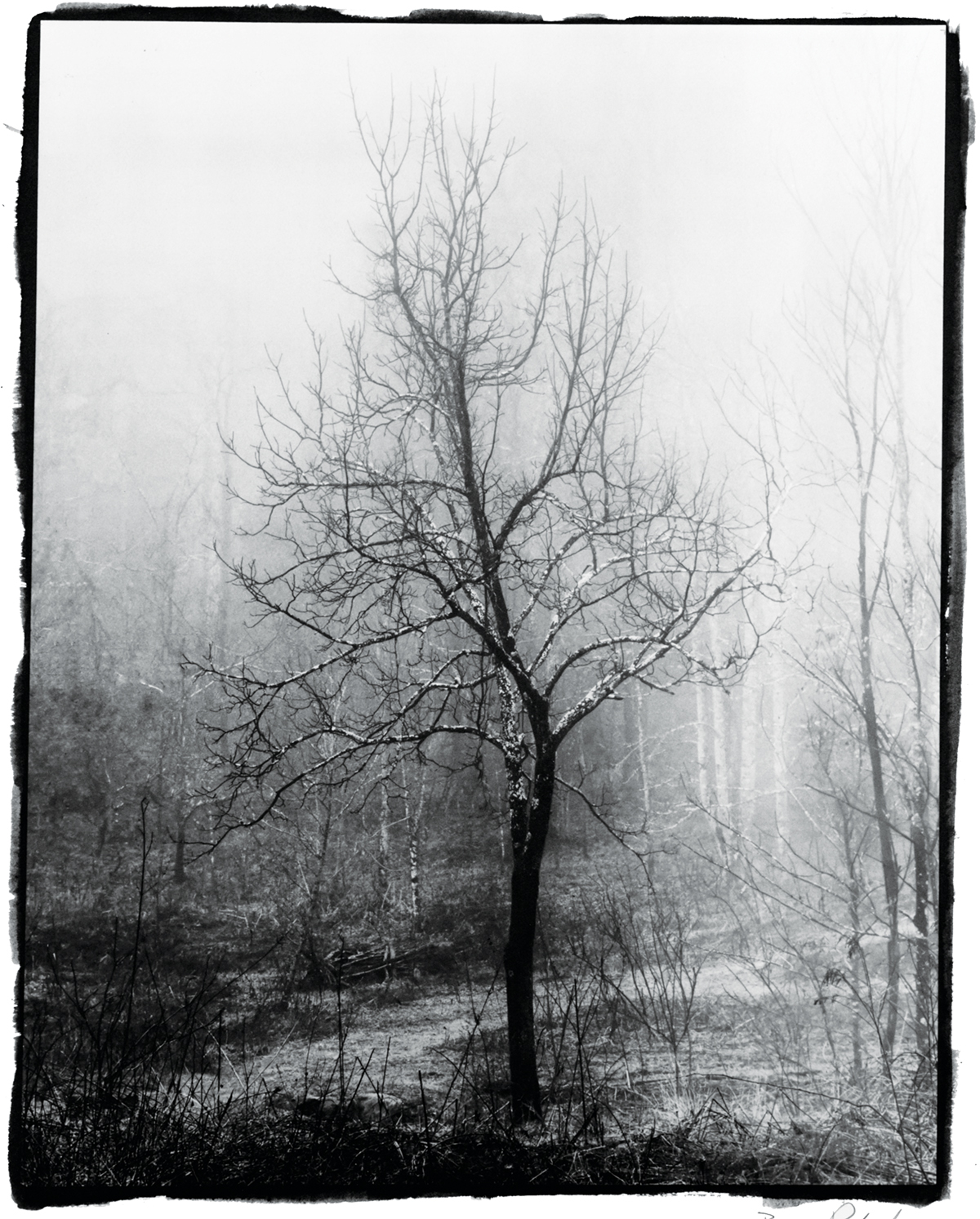 Gallery at Flat Rock: Barry Rhodes