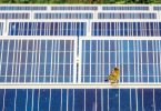 Sustainability: Wildlife and Solar Energy