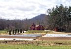 Eat Your View: Farm Labor and Rising Prices