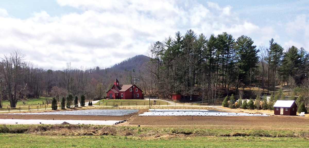 Eat Your View: Farm Labor and Rising Prices