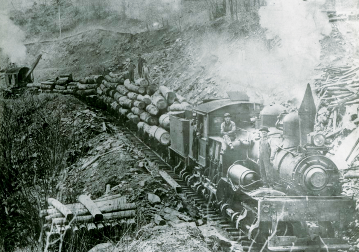 WNCHA Champion Fibre Logging