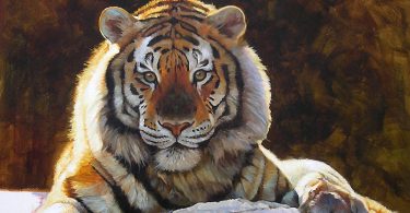 Stefano Checchini painting of tiger in the sun