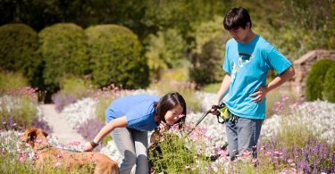 Local Date Day or Night in WNC