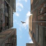 Cover Artist Cynthia Decker