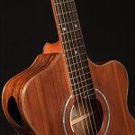 Local Products Lichty Guitars 