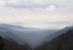 The Laurel of Asheville