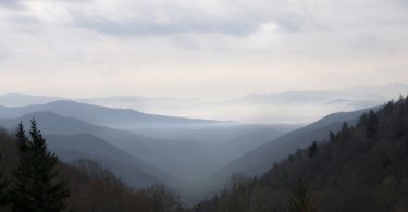 The Laurel of Asheville