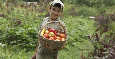 Spring Garden School - The Laurel of Asheville