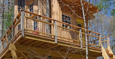 Tree Talk: How Local Builders are Reimagining Tree Houses