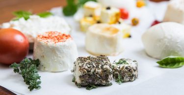 Mother Earth News Fair Returns to WNC for the Sixth Time