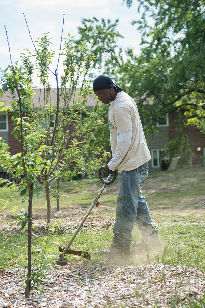 Asheville GreenWorks Food Tree Project