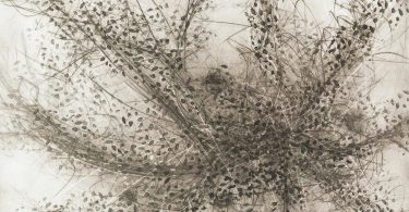 ASheville Printmakers Group
