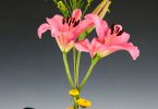 Dillsboro Arts Festivals
