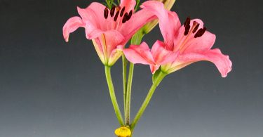 Dillsboro Arts Festivals