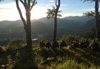 Fourth of July Hike in Swannanoa