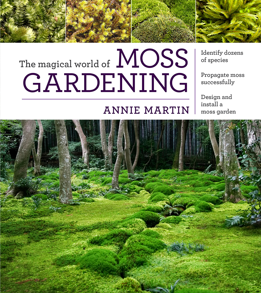 The Magical World of Moss Gardening by Annie Martin