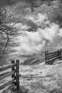 Infrared Photography: Artist Bonnie Allen