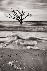 Infrared Photography: Artist Chris Allen