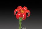 Toe River Arts Council Benefit Auction