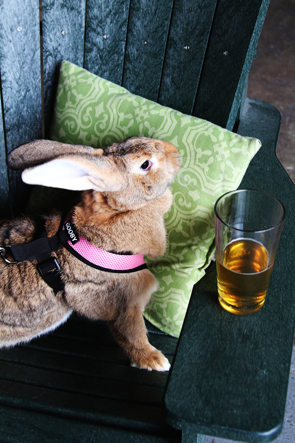 Breweries in Asheville's Surrounding Towns