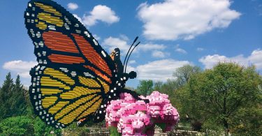 LEGO Art