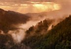 North Carolina Nature Photography of Tim Barnwell