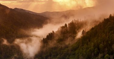 North Carolina Nature Photography of Tim Barnwell