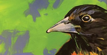 Art for Bird Conservation at Black Mountain Center for the Arts