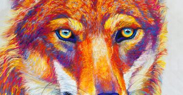 Laurel of Asheville Cover Artist Jen Starwalt