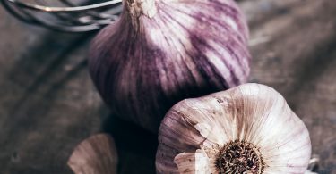 WNC Garlic Fest