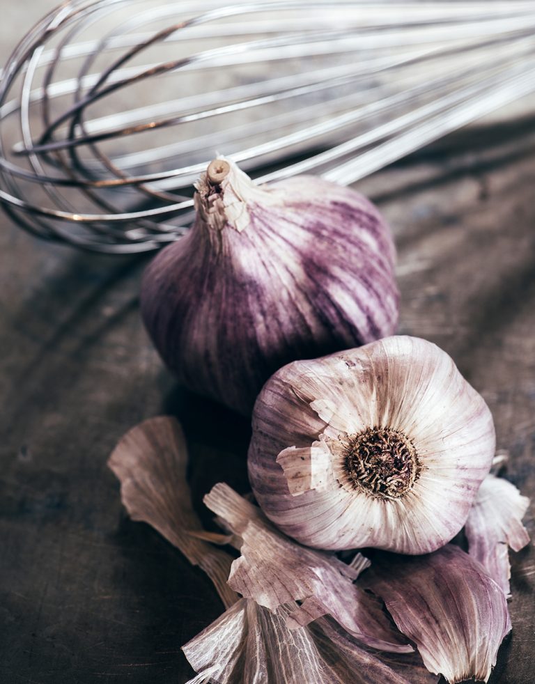 The Western North Carolina Garlic Fest The Laurel of Asheville