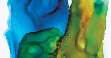 Western North Carolina AIDS Project