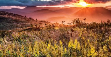 Photography and Glass Exhibit at F.W. Front Gallery