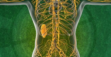 Lymphatic System and Holistic Health