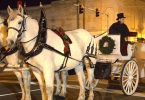 Things to Do in McDowell County