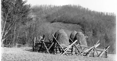 Fences and Fence Laws