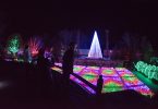 Winter Lights Exhibit at NC Arboretum