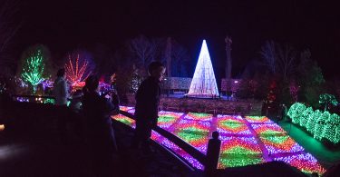 Winter Lights Exhibit at NC Arboretum