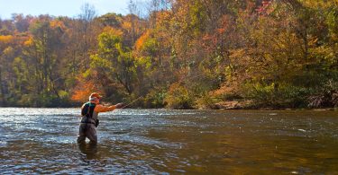 Fall Fly-Fishing in Western North Carolina