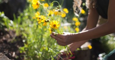 Sustainable Landscaping