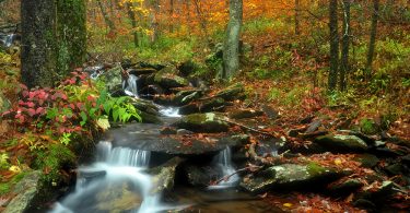 Choosing Lands to Protect