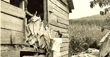 Appalachian Barn History